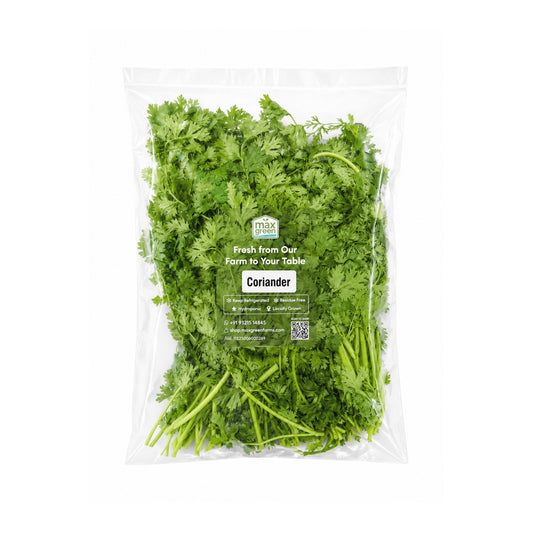 Coriander (100g)