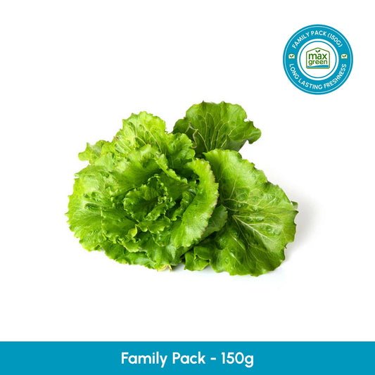 Summer Crunch Lettuce