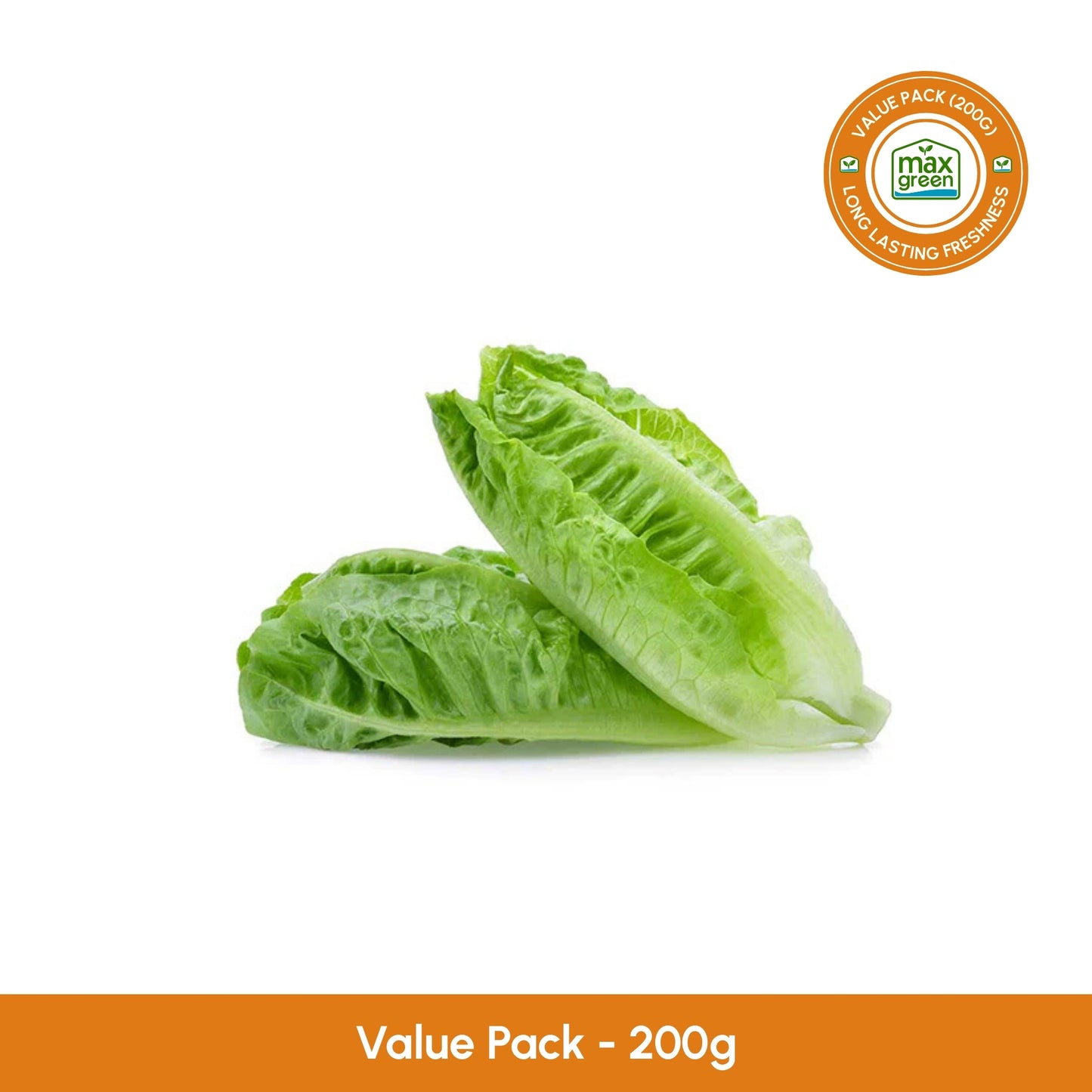 Romaine Lettuce