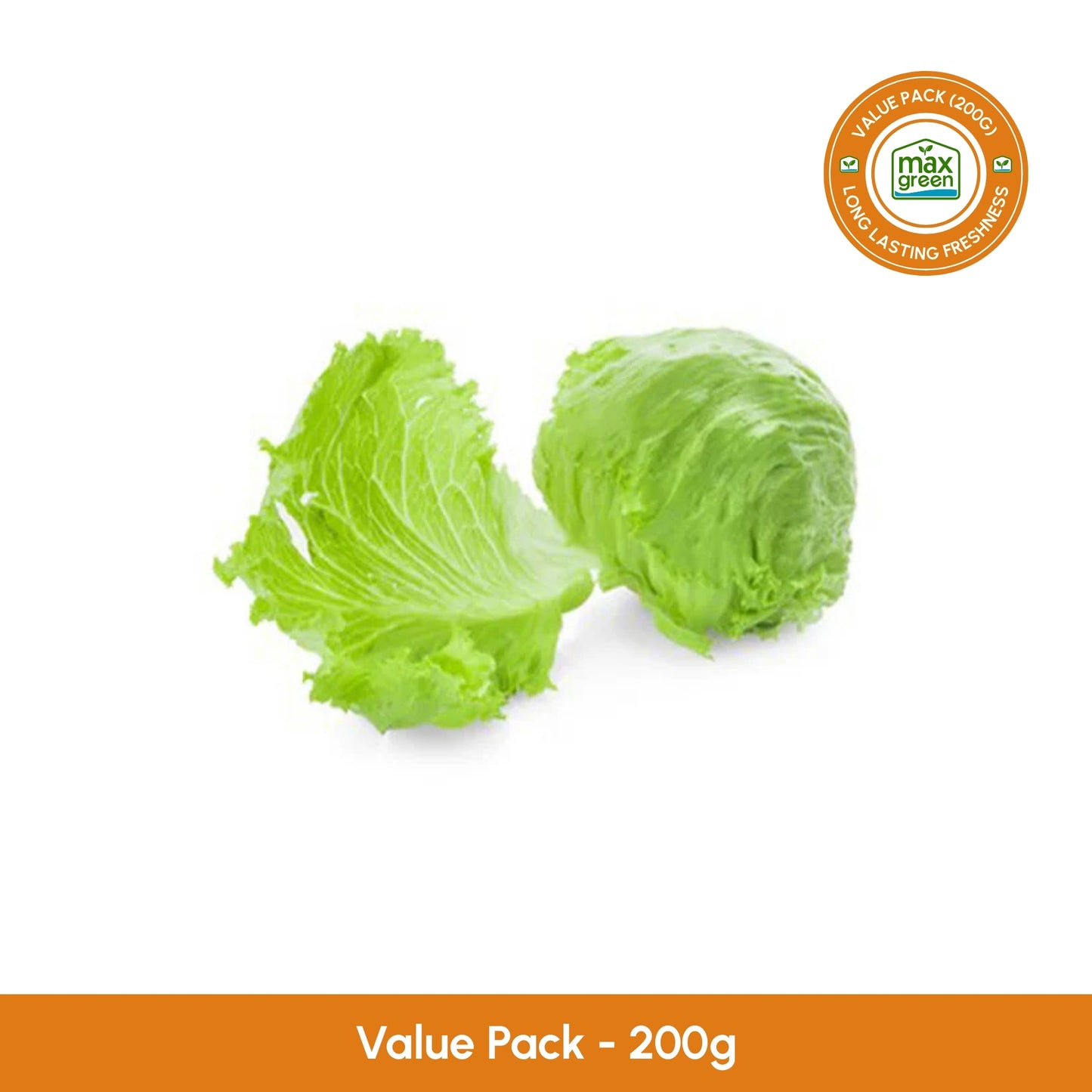 Leafy Iceberg Lettuce