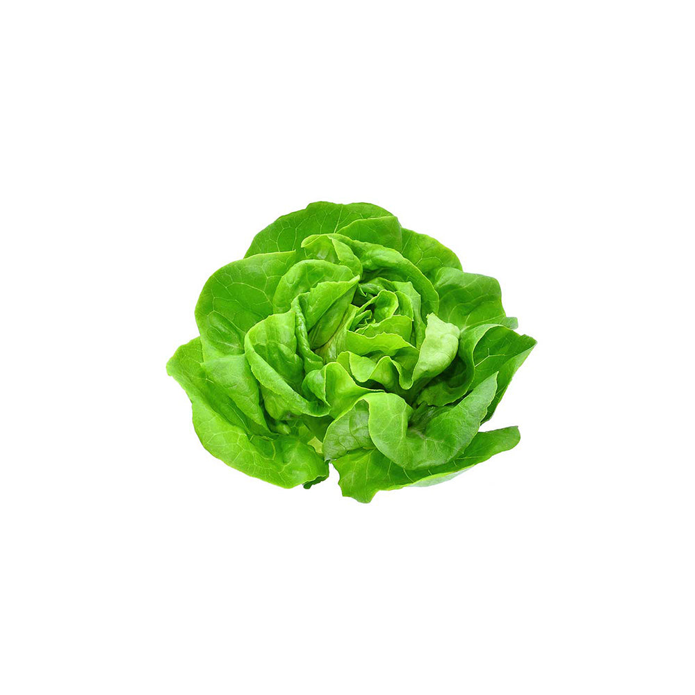 Butterhead Lettuce (100g)