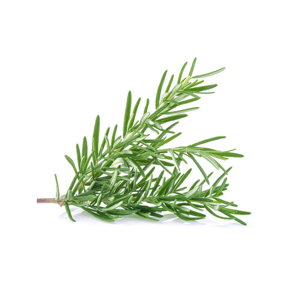 Rosemary (20g)
