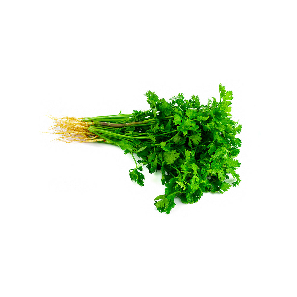 Coriander (100g)