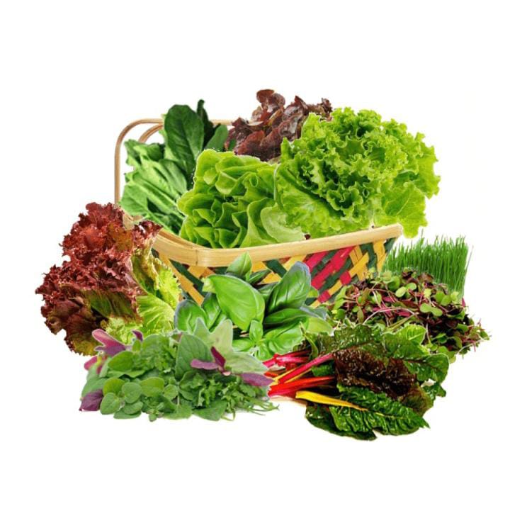 Exotic Salad Mix (150g)