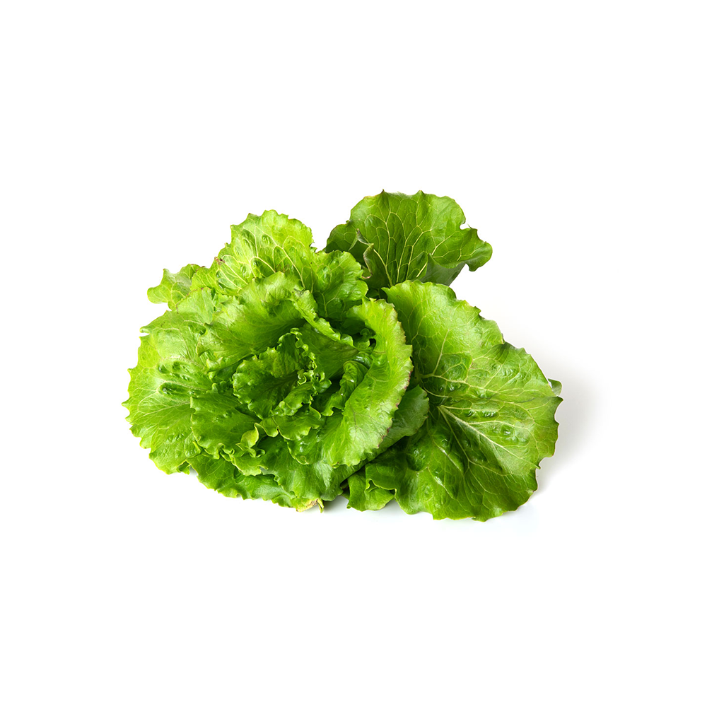 Summer Crunch Lettuce (100g)