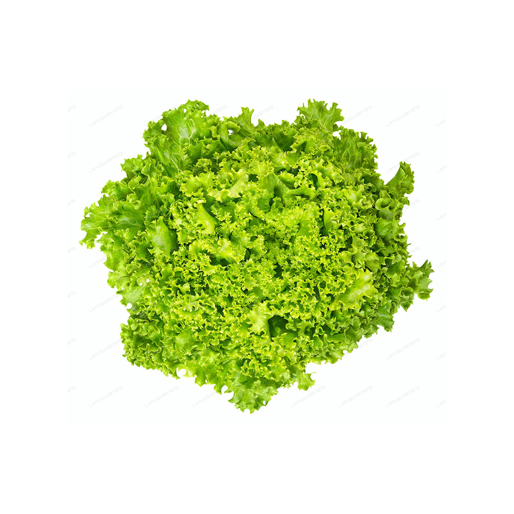 Green Lollo Lettuce (100g)