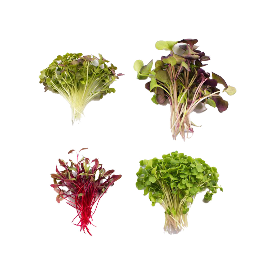 Mix Microgreen (50g)