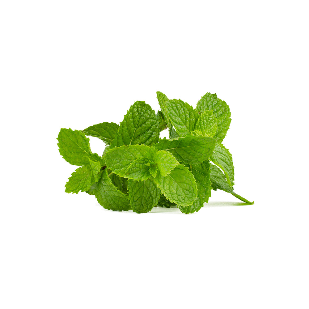 Mint (100g)