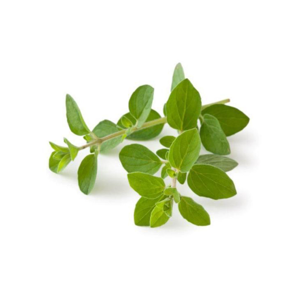 Oregano (20g)