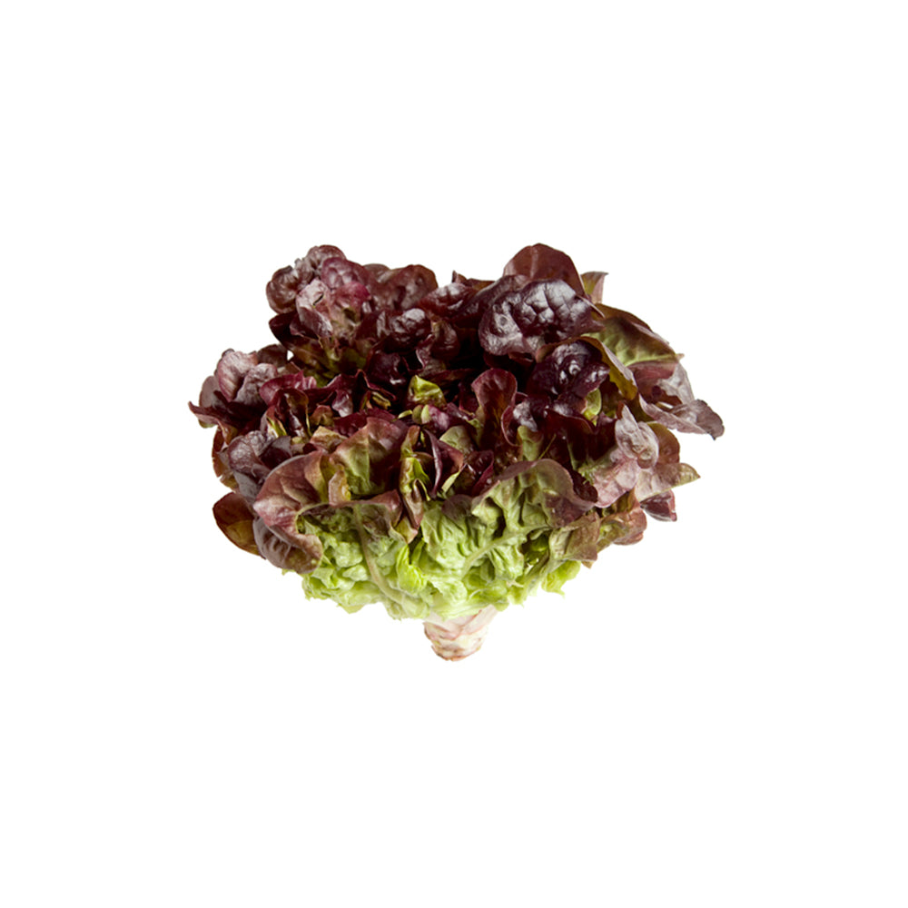 Red Oakleaf Lettuce (100g)