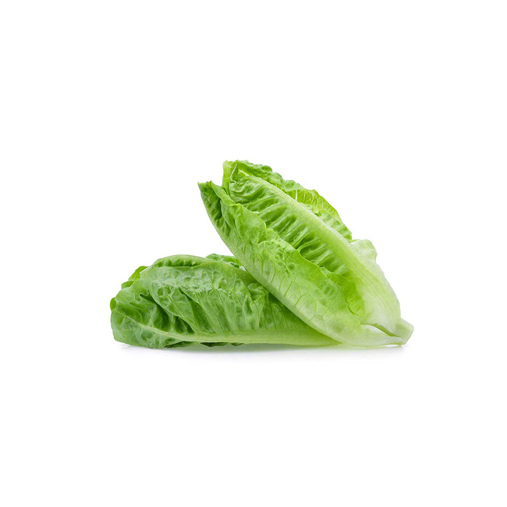 Romaine Lettuce (100g)