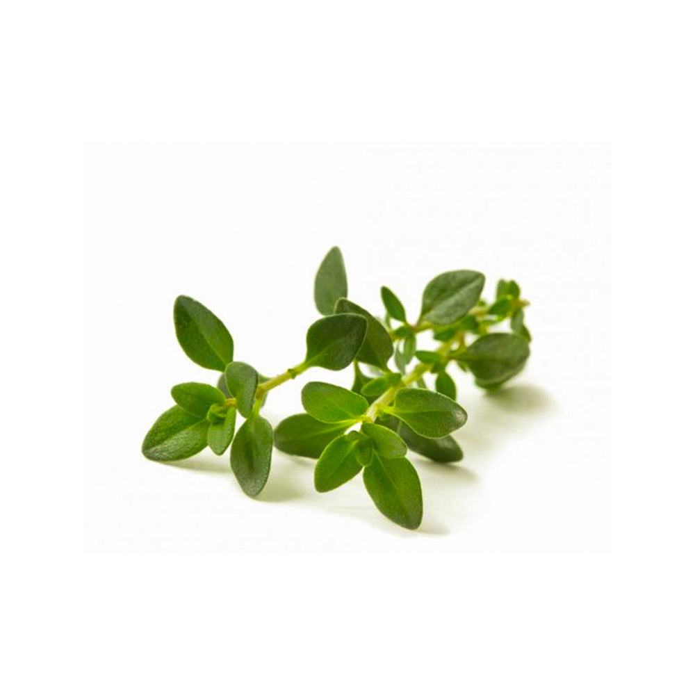 Thyme (20g)