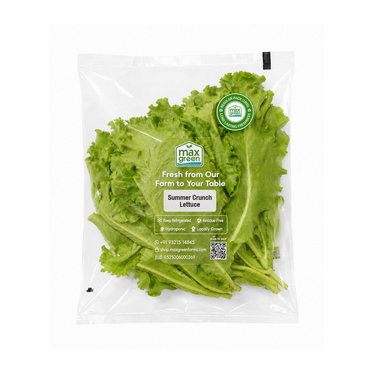 Summer Crunch Lettuce