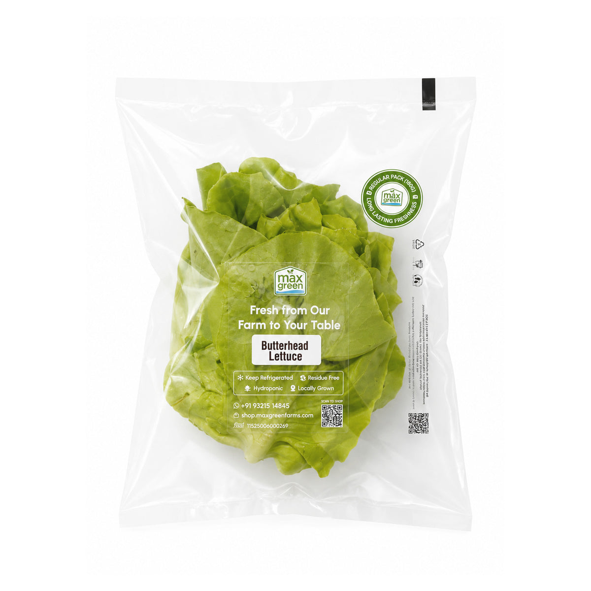 Butterhead Lettuce