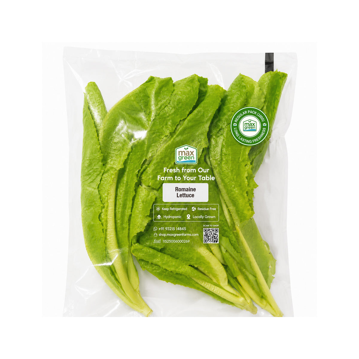 Romaine Lettuce