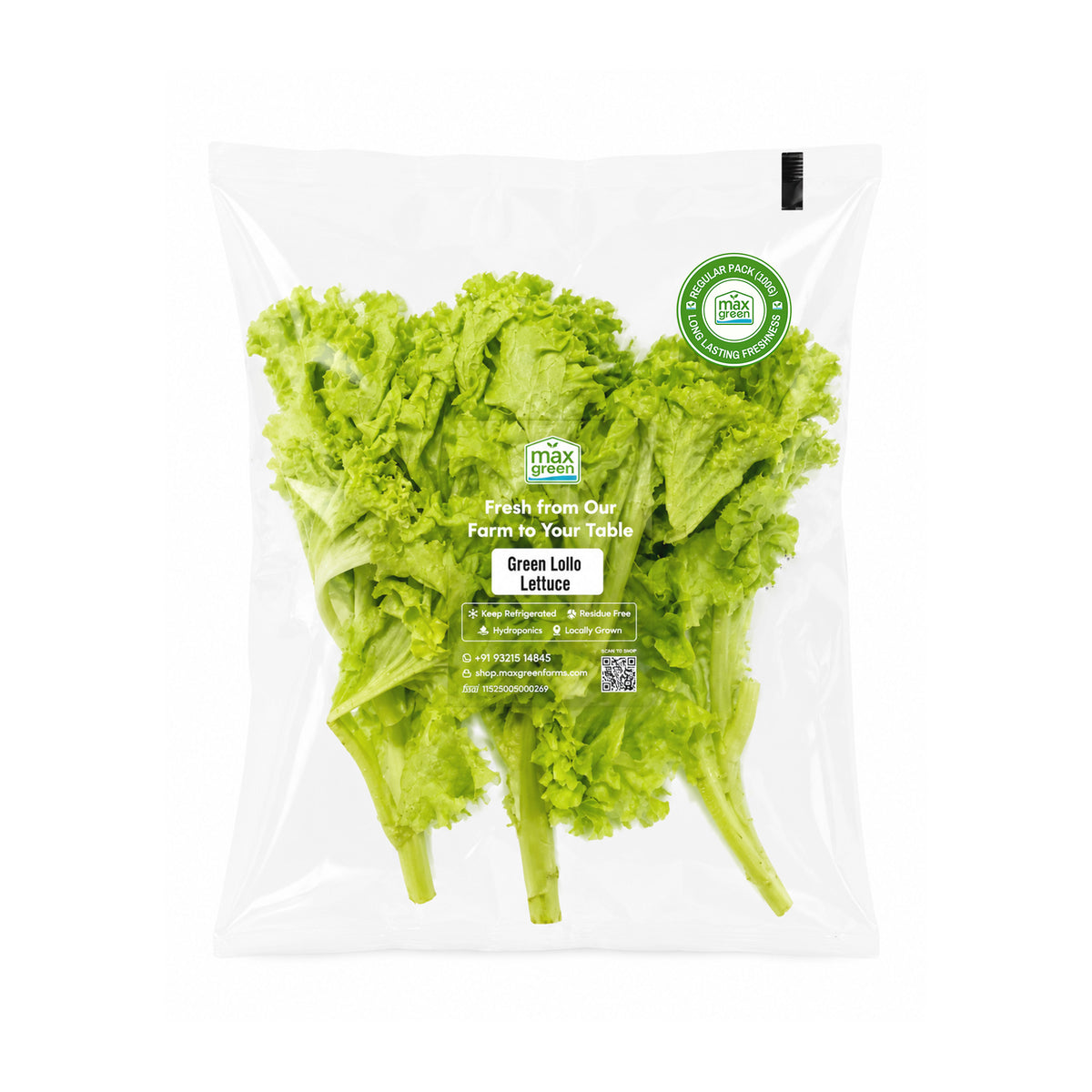 Green Lollo Lettuce