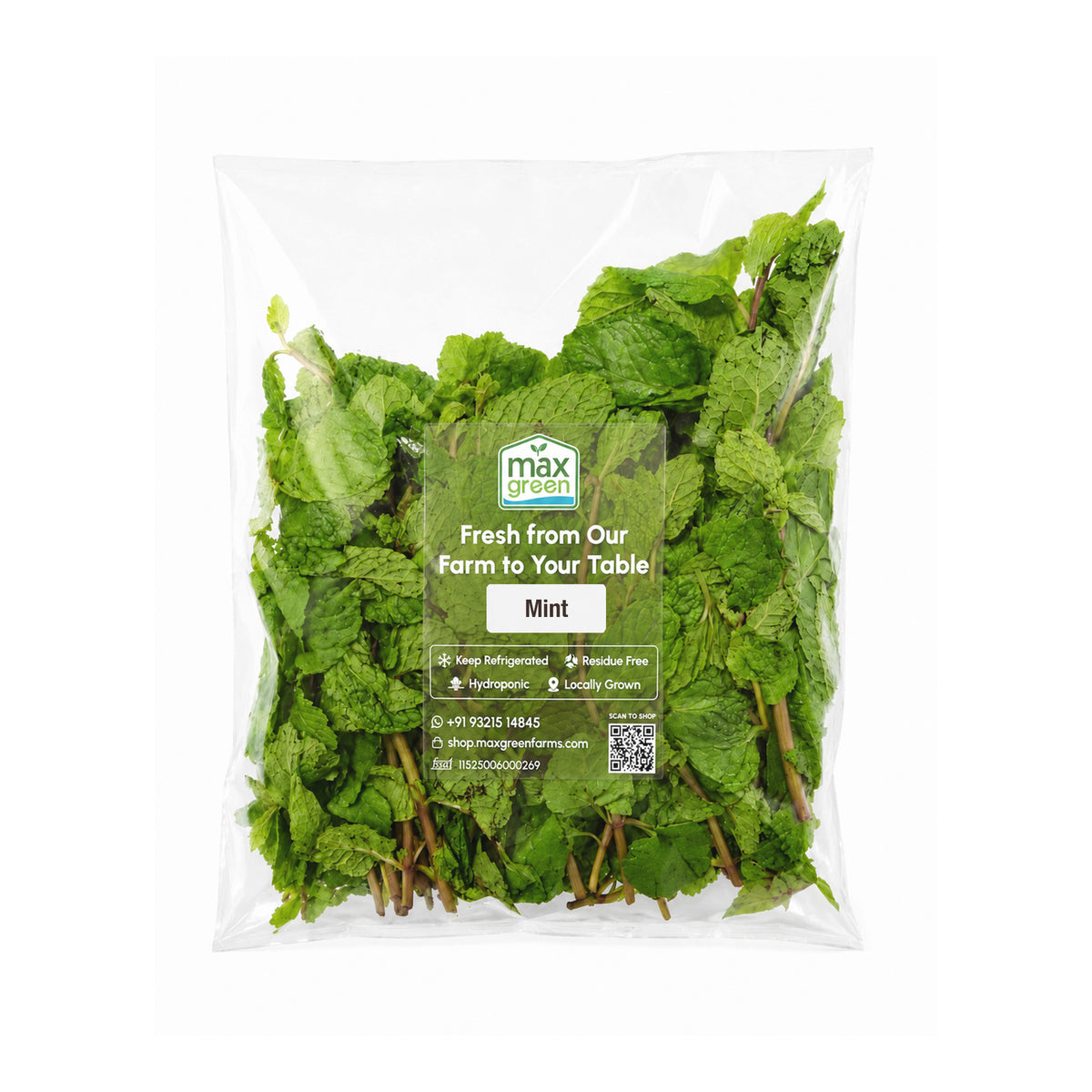 Mint (100g)