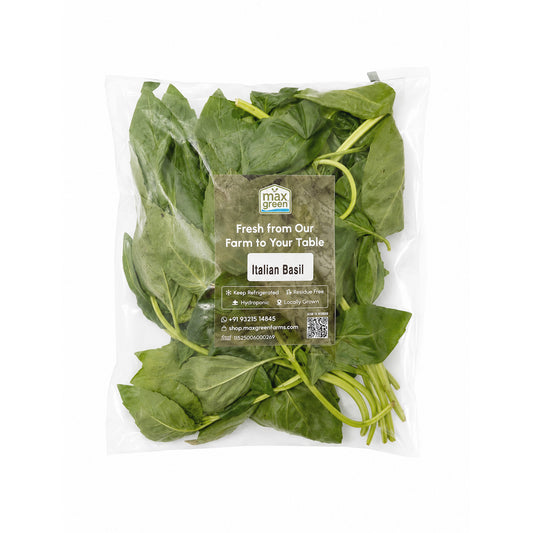 Italian Basil (50g)