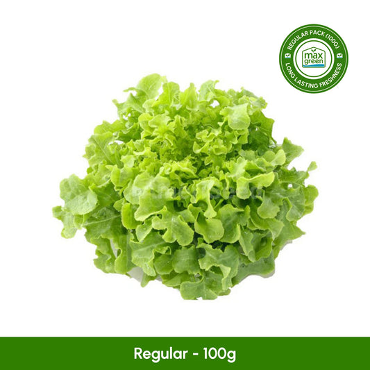 Green Oakleaf Lettuce