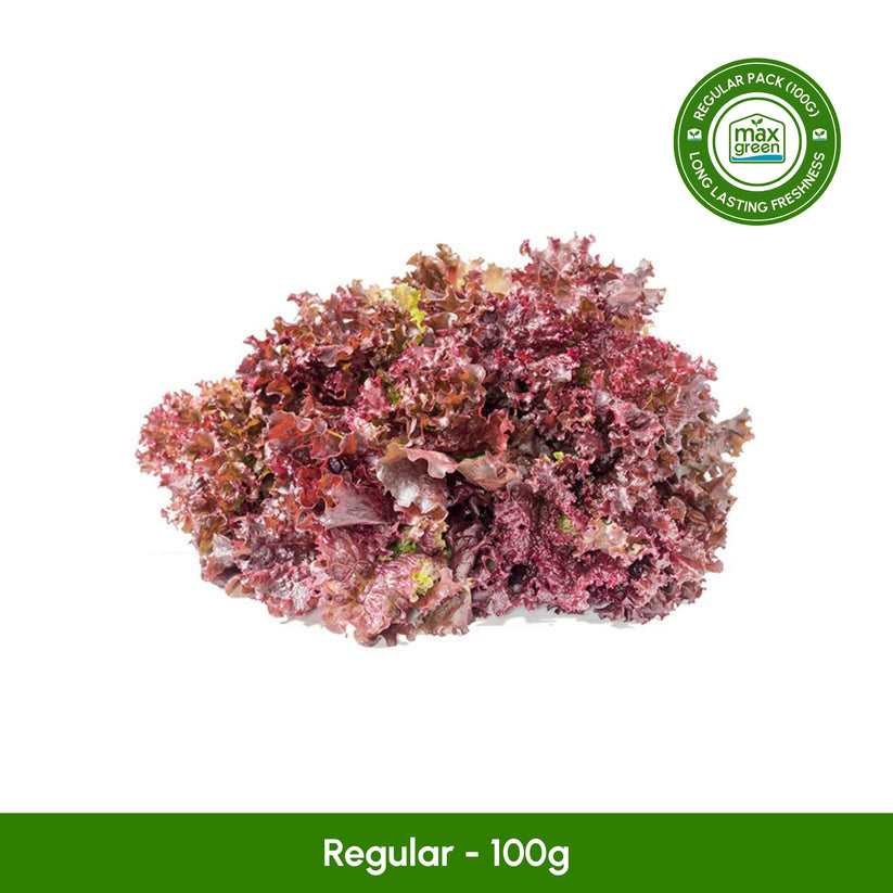 Red Lollo Red Lollo Lettuce – Max Green Farms
