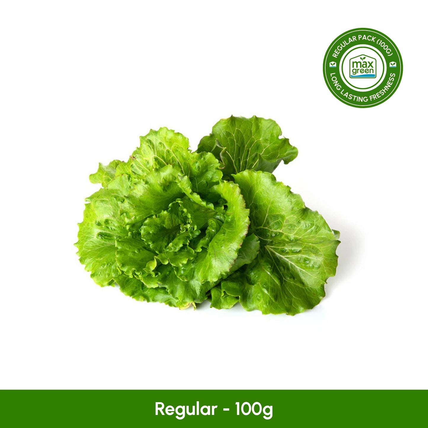 Summer Crunch Lettuce