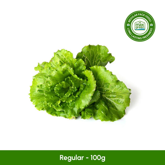 Summer Crunch Lettuce