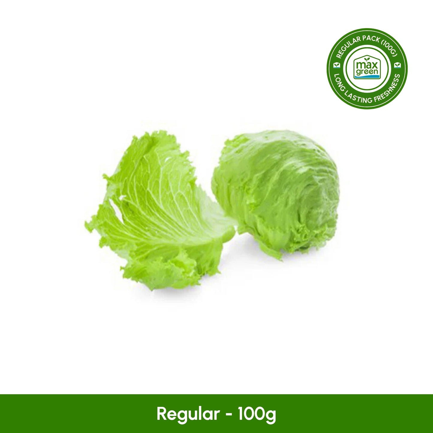 Leafy Iceberg Lettuce