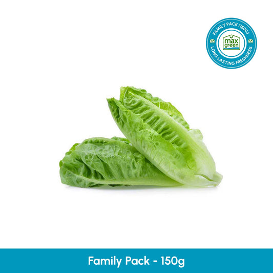 Romaine Lettuce