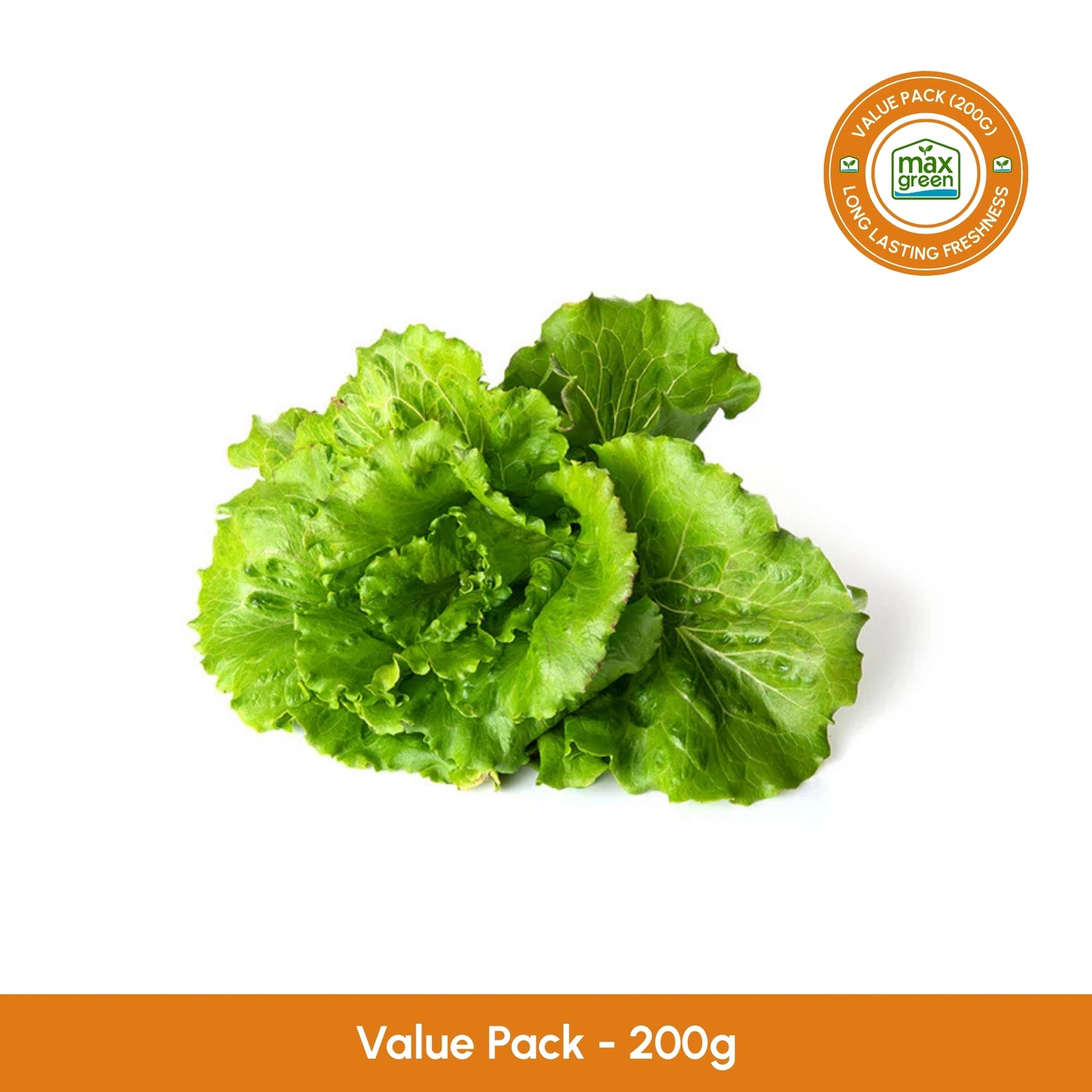 Summer Crunch Lettuce