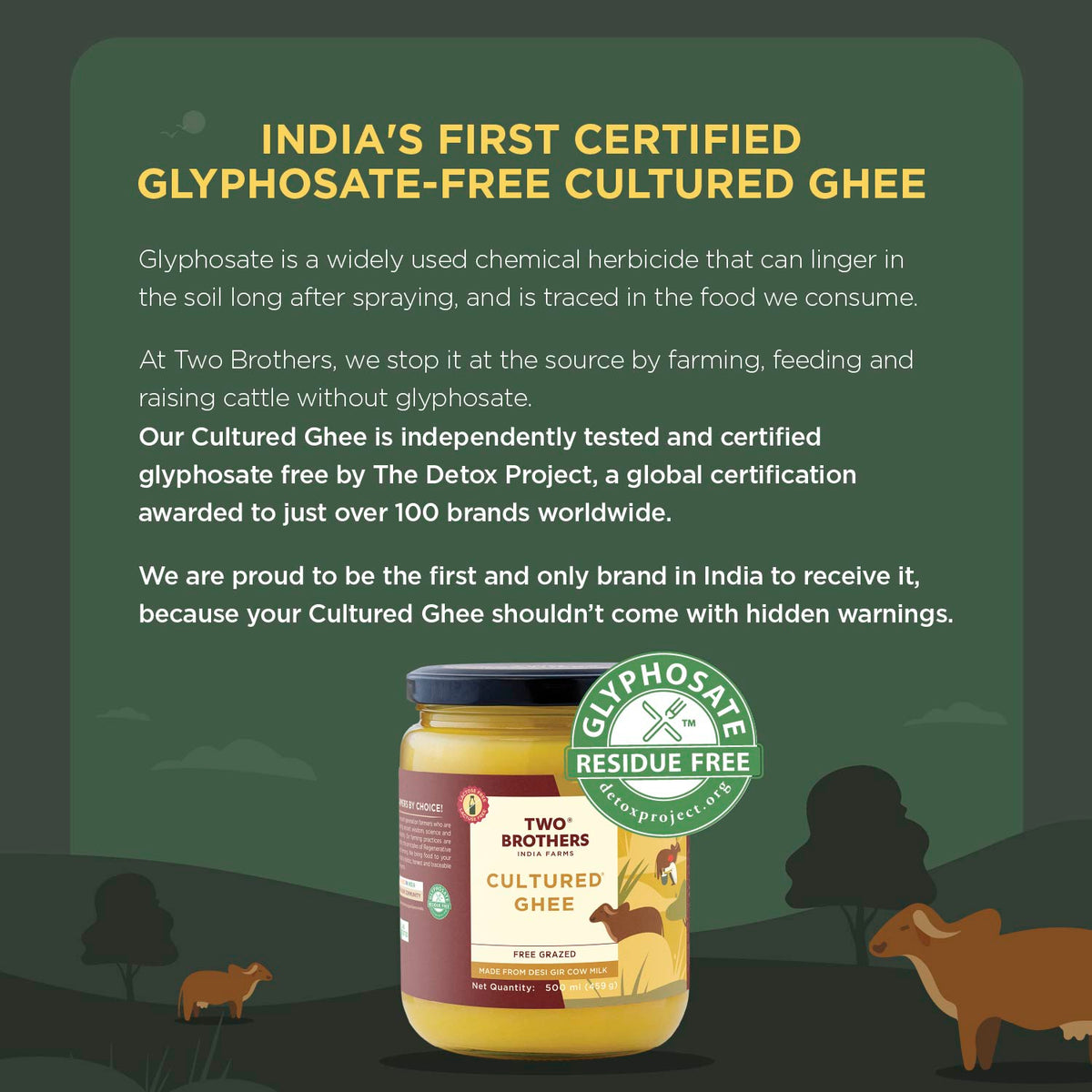 Desi Gir Cow Cultured Ghee (Bilona)