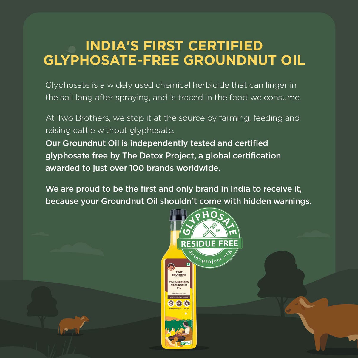 Cold-Pressed Groundnut Oil (1 L)