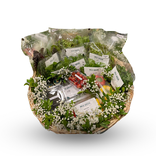 Hearty Healthy Mega Hamper